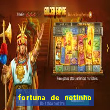 fortuna de netinho de paula